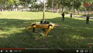 Robot dog promoting social distancing Singapore